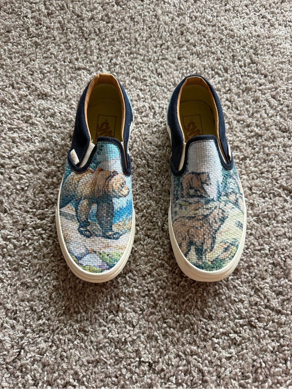 Graphic Bear Vans 6.5